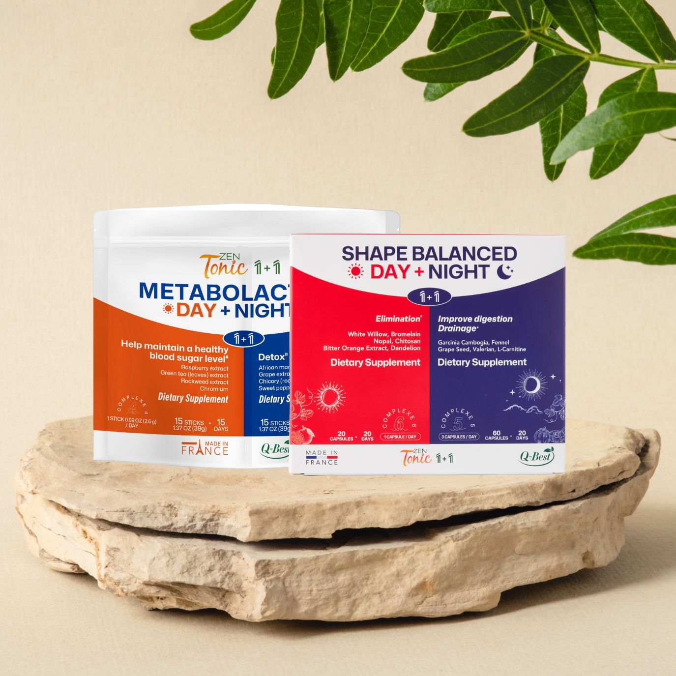 Day & Night Metabolic Burn Program 1