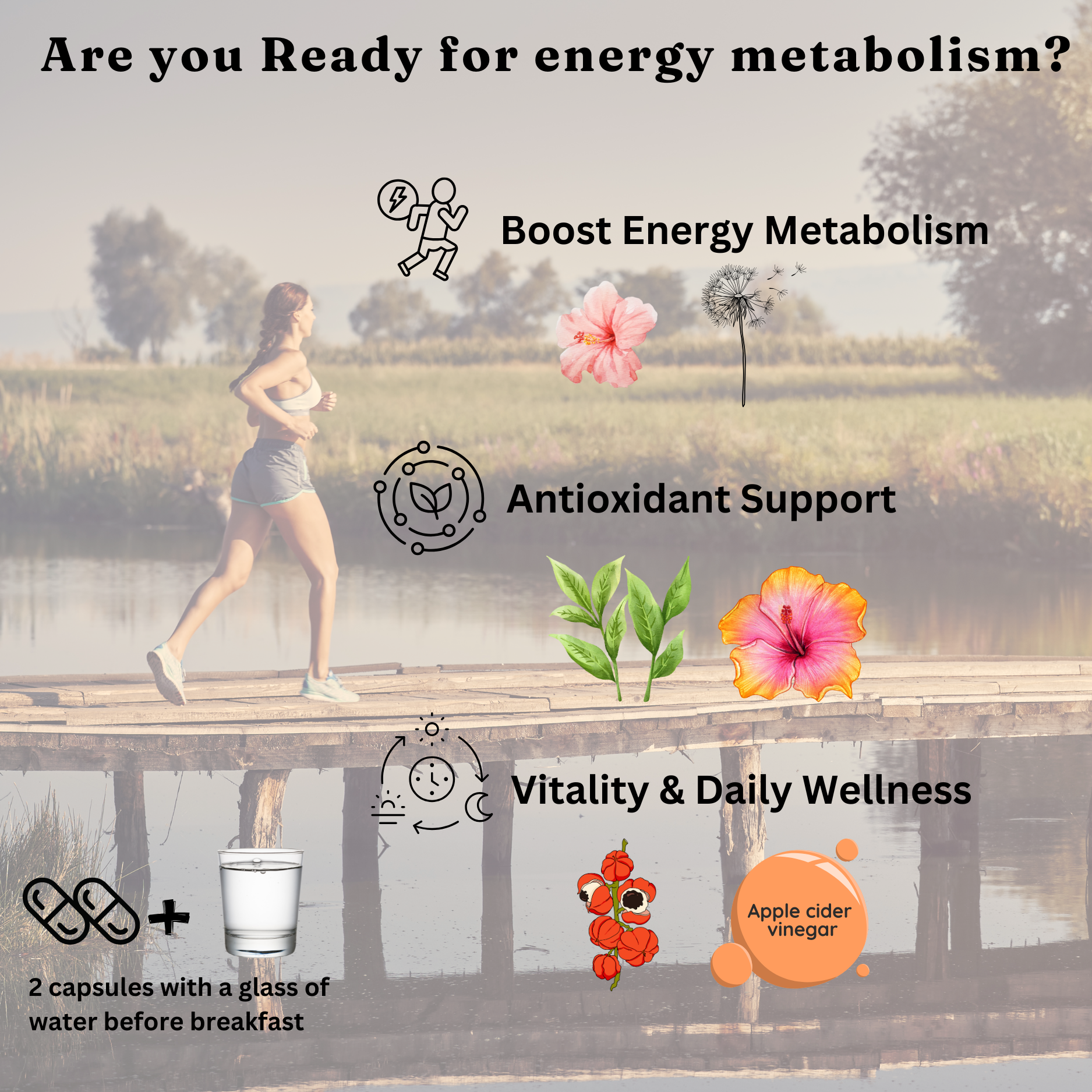 Zen&Tonic Calory Balance 30-day Support Energy Metabolism Antioxidant Vitality Made in Spain All-Natural Ingredients 60 Capsules Healthy Edible Healthcare Supplement for Fitness Wellness